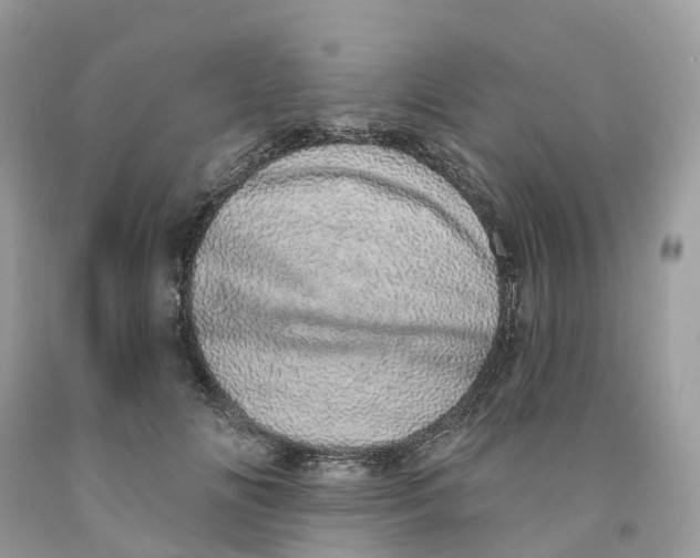 X0000091560702200709141536