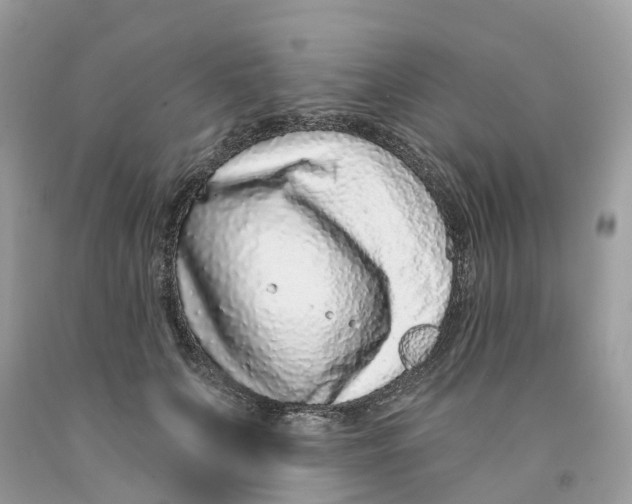 X0000091560703200709141536