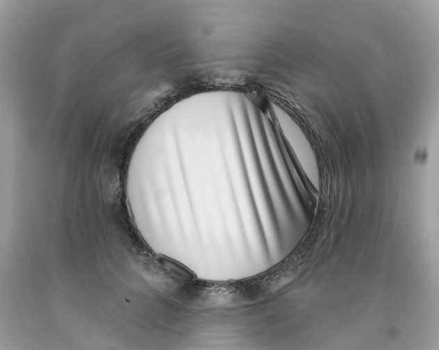 X0000091560704200709141536