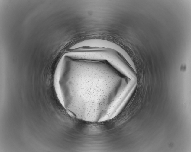 X0000091560708200709141536