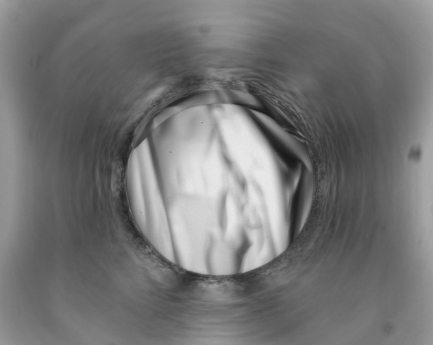 X0000091560712200709141536