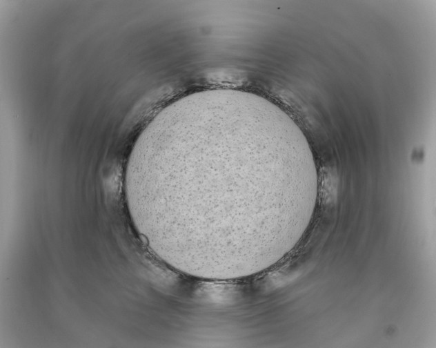 X0000091560713200709141536