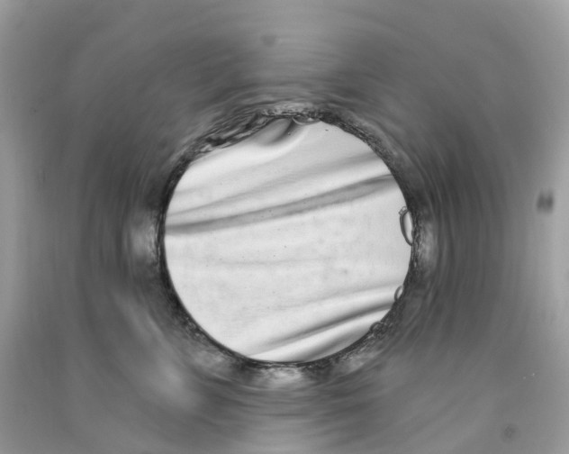 X0000091560715200709141536