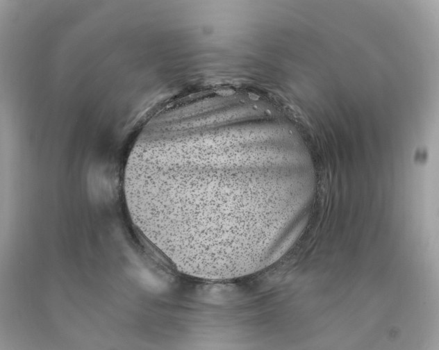 X0000091560716200709141536