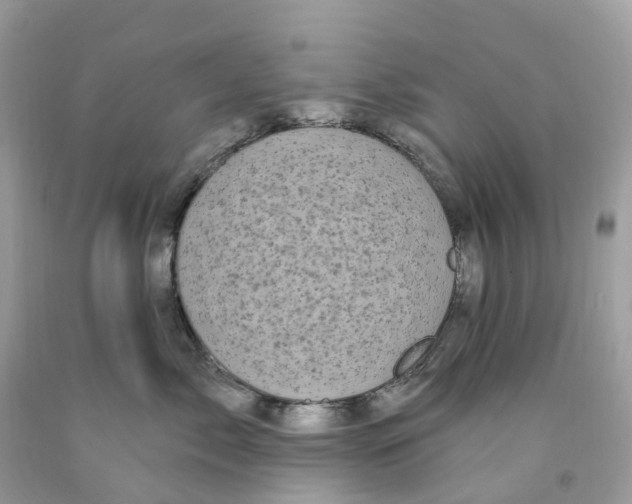 X0000091560717200709141536