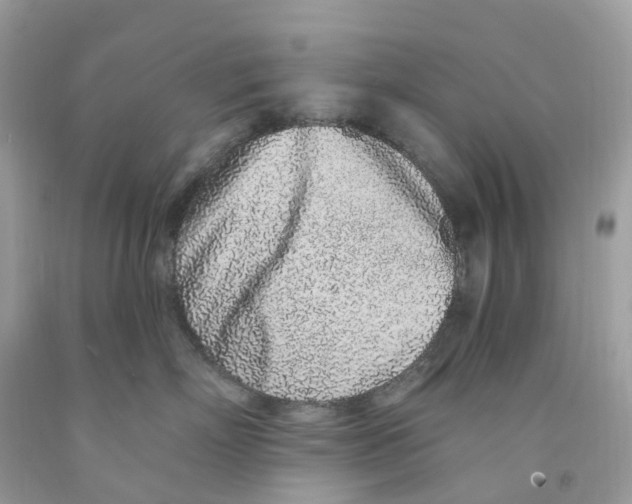 X0000091560718200709141536