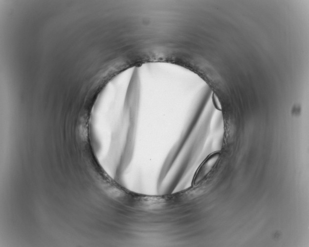 X0000091560719200709141536