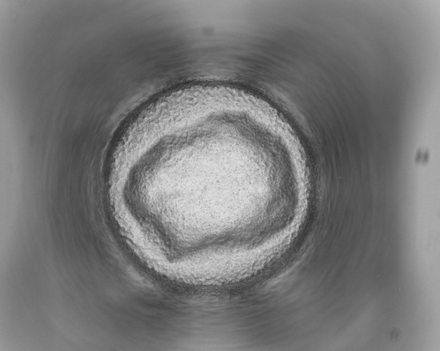 X0000091560721200709141535