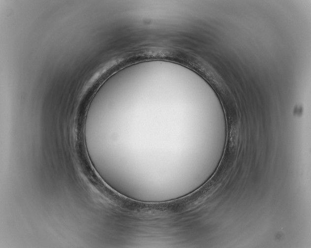 X0000091560722200709141535