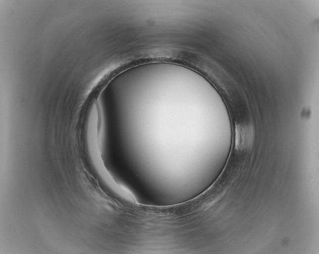 X0000091560723200709141535