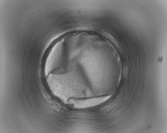 X0000091560724200709141535