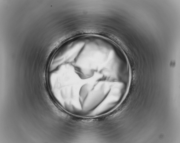 X0000091560725200709141535