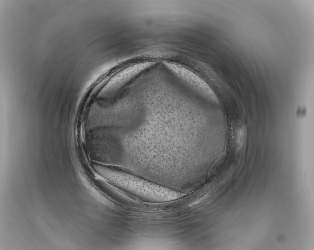 X0000091560726200709141535