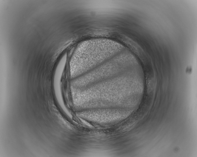 X0000091560729200709141535