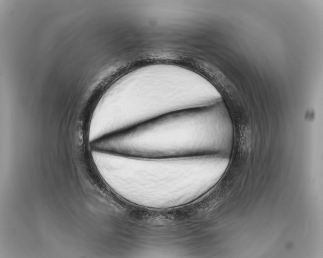 X0000091560731200709141535