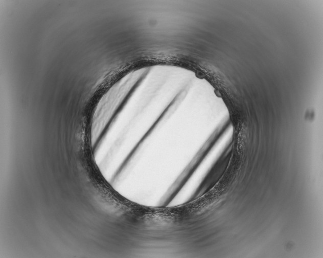 X0000091560739200709141535