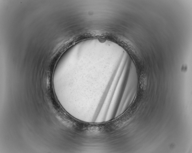 X0000091560740200709141535