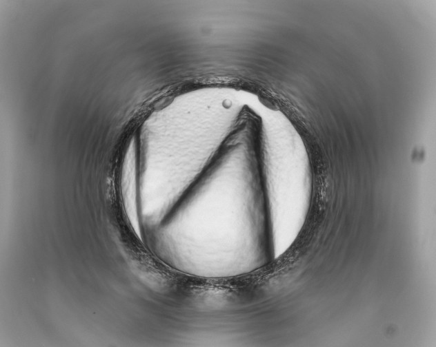 X0000091560743200709141535