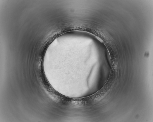 X0000091560744200709141535