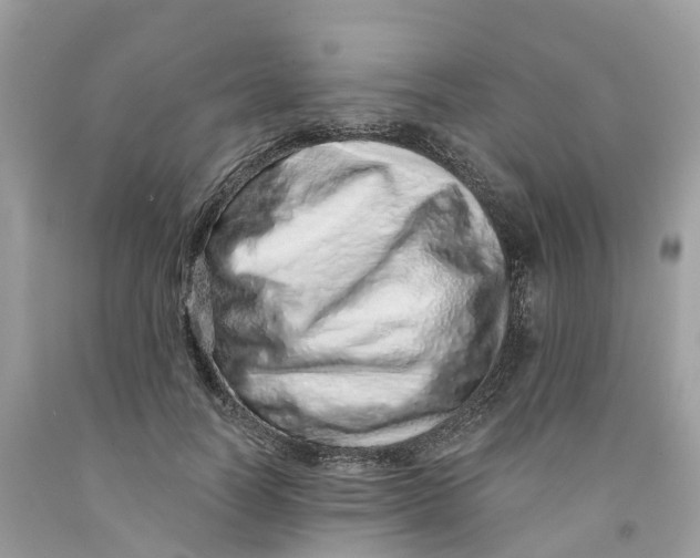 X0000091560746200709141535