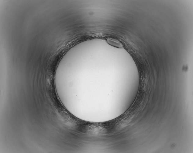 X0000091560747200709141535