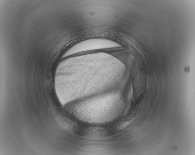 X0000091560748200709141535