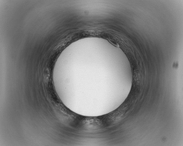 X0000091560752200709141535