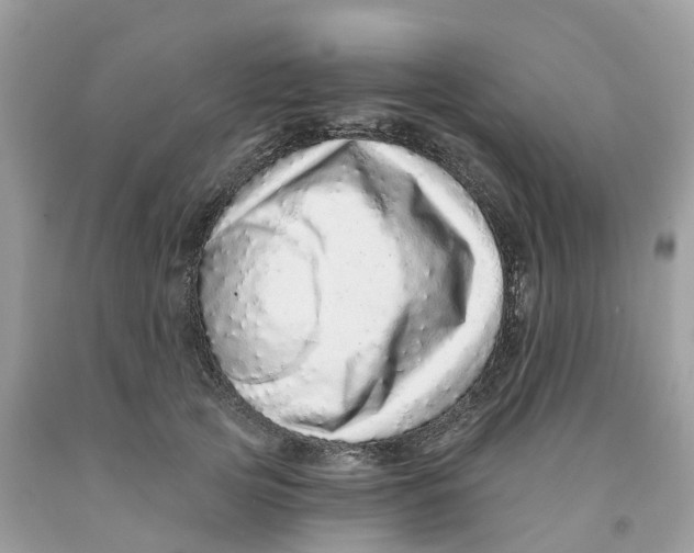 X0000091560753200709141536