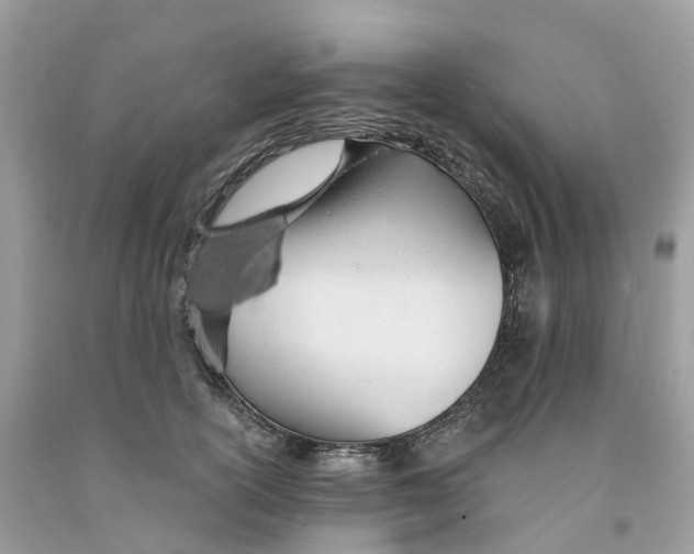 X0000091560754200709141536