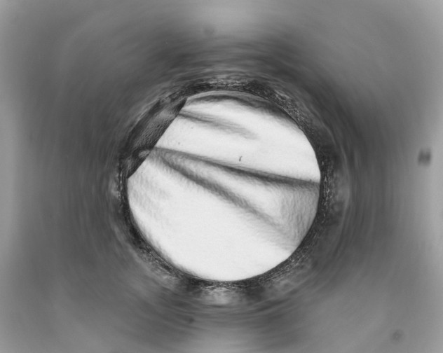 X0000091560755200709141536