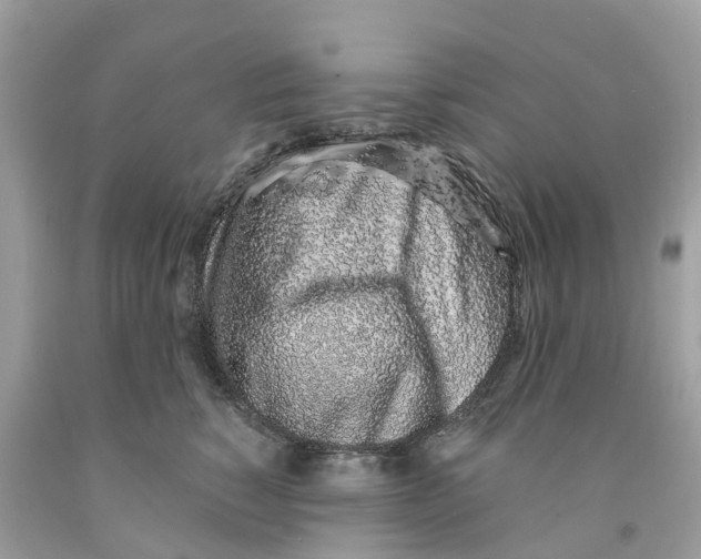 X0000091560760200709141536