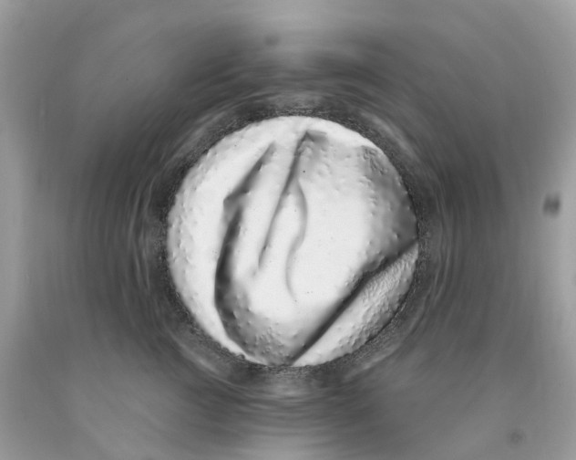 X0000091560761200709141536