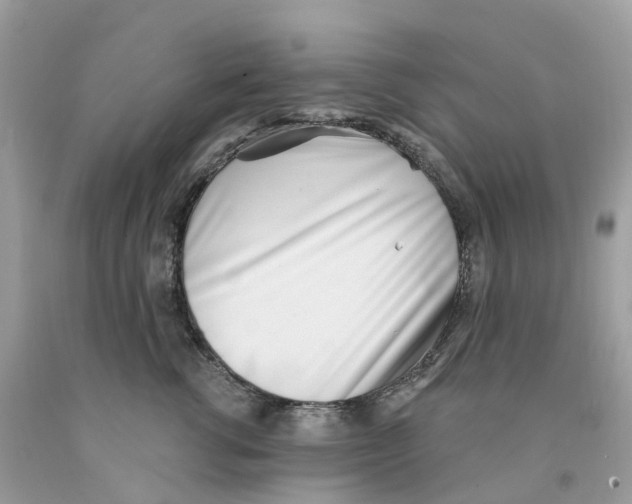 X0000091560762200709141536