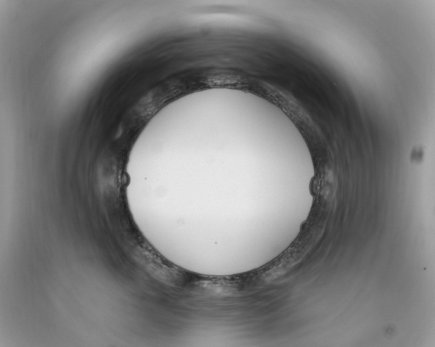 X0000091560763200709141536