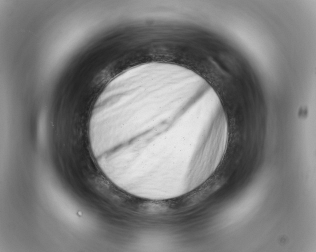 X0000091560765200709141536