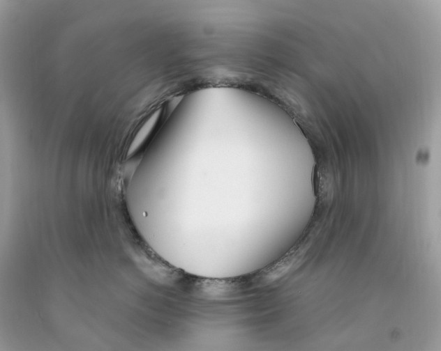 X0000091560766200709141536