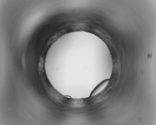 X0000091560767200709141536