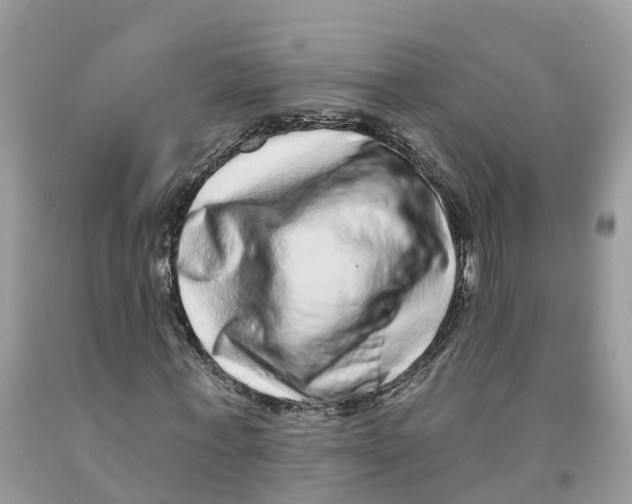 X0000091560771200709141535