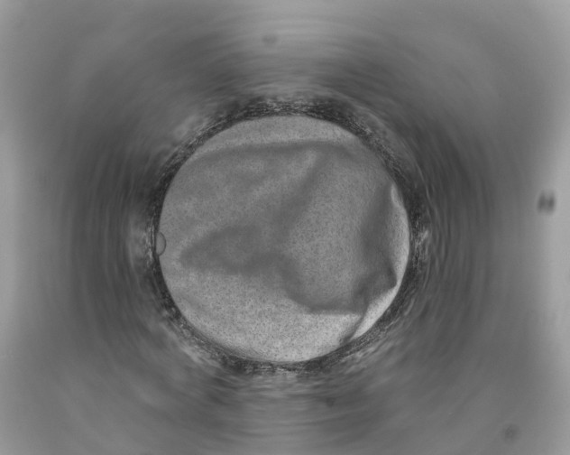 X0000091560772200709141535