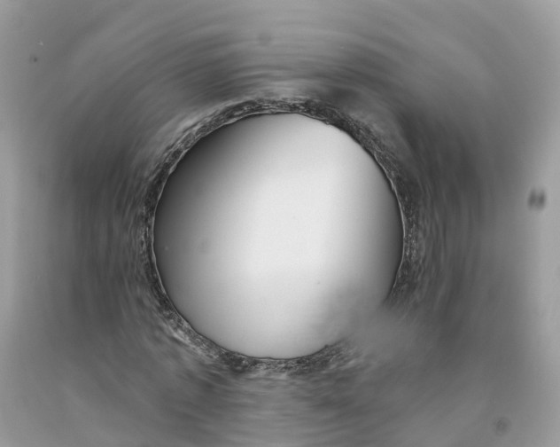 X0000091560773200709141535