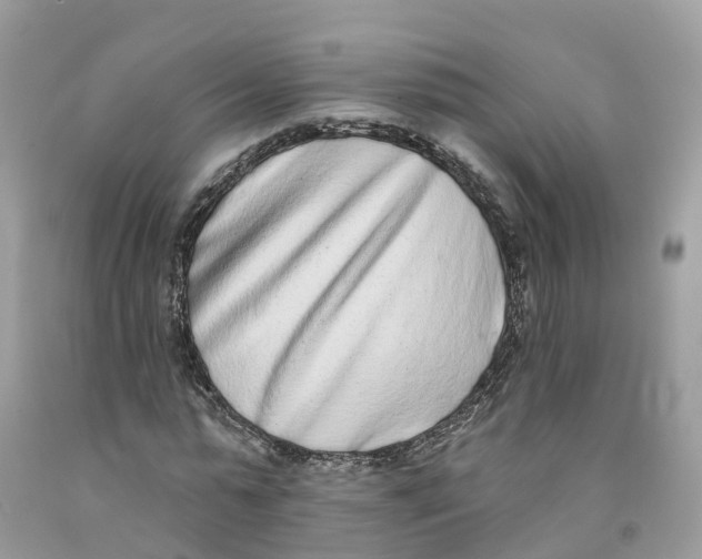 X0000091560775200709141535