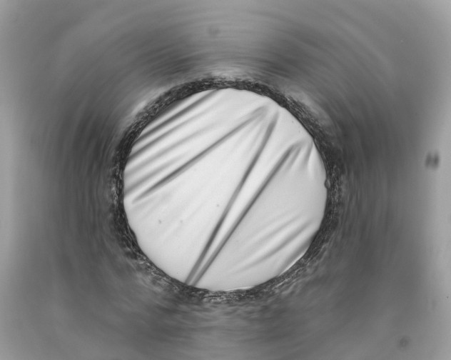 X0000091560776200709141535