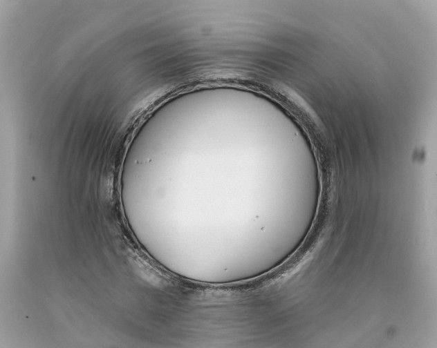 X0000091560777200709141535