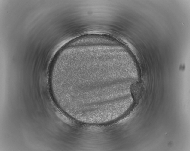 X0000091560779200709141535