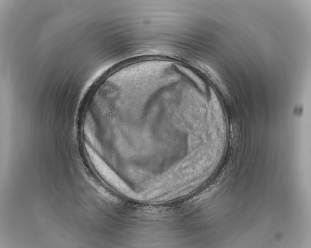 X0000091560780200709141535