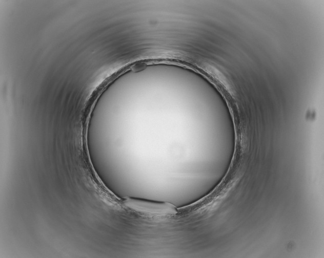 X0000091560781200709141535