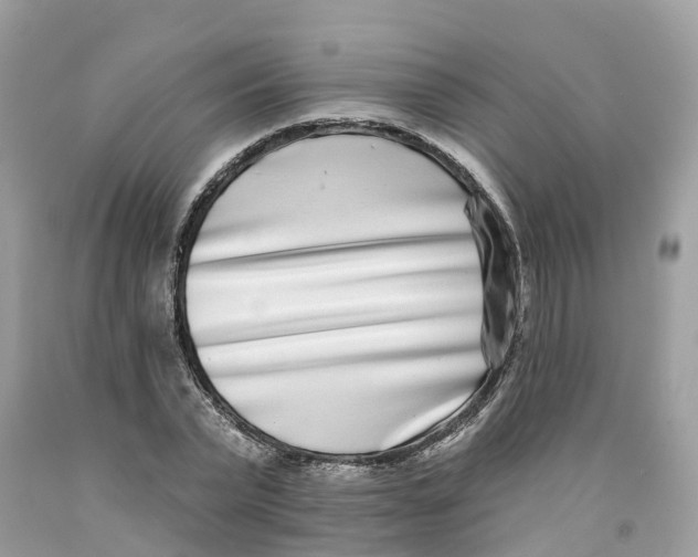 X0000091560783200709141535