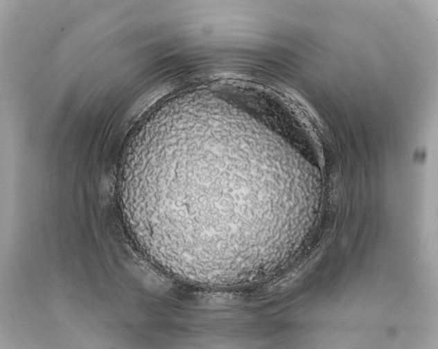 X0000091560785200709141535