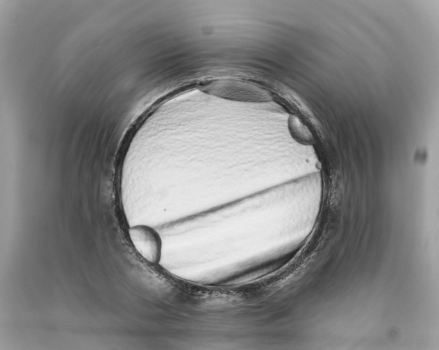 X0000091560786200709141535