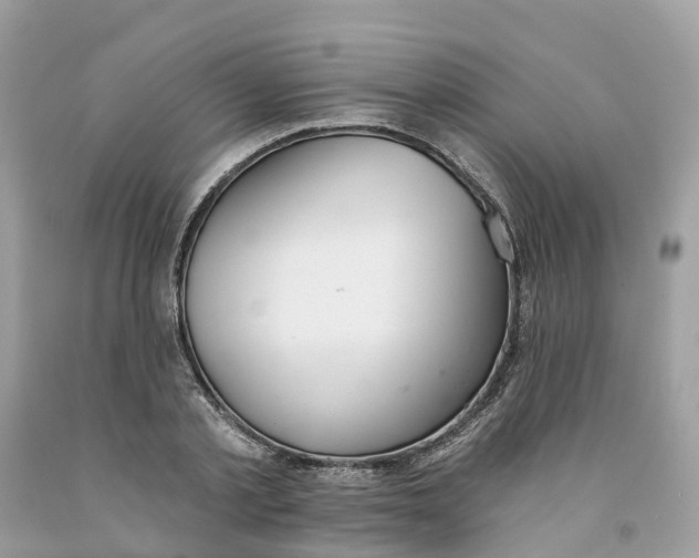 X0000091560789200709141535